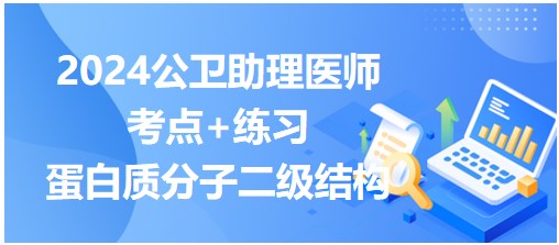 蛋白質(zhì)分子二級結(jié)構(gòu)