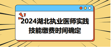 2024湖北中西執(zhí)業(yè)技能繳費(fèi)